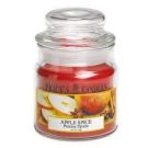 Vela Aromatica Prices Small Apple Spice