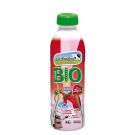 Bio Yogurt con pulpas, 800 gr